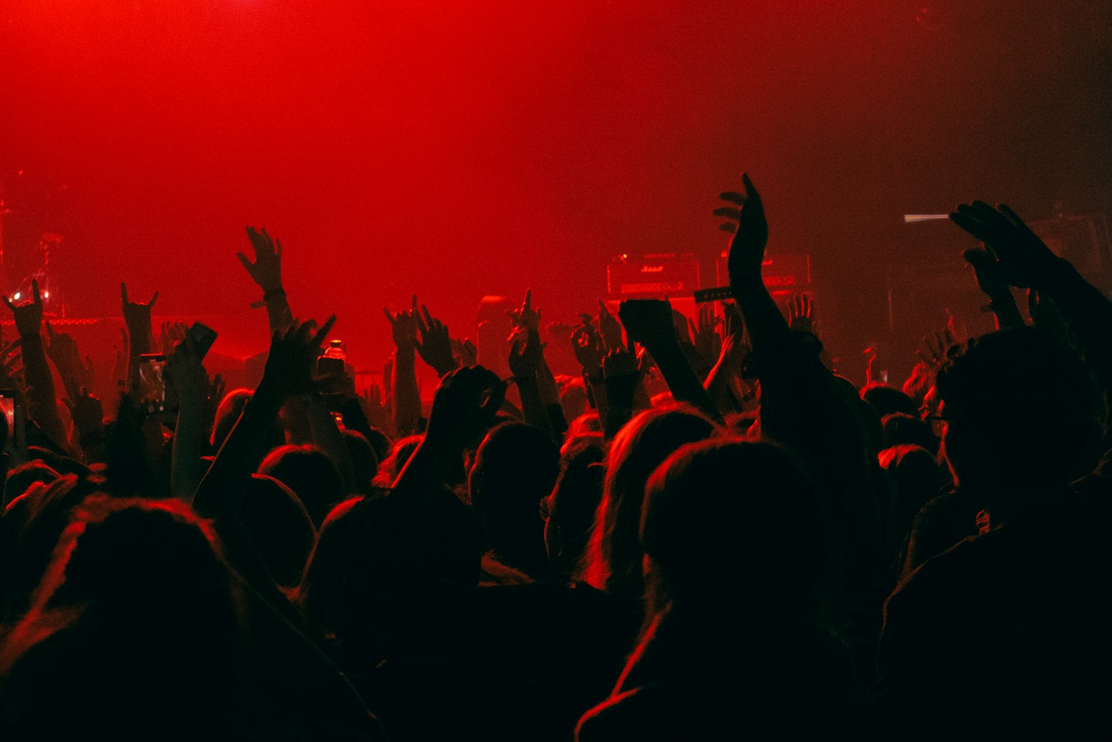 a crowd of people at a concert with their hands in the air